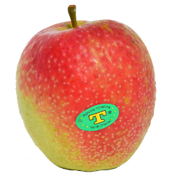 immagine di una mela