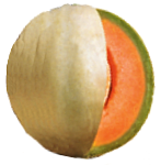 immagine di un melone liscio