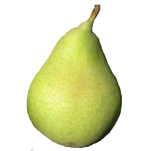 immagine di una pera