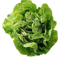 foto frutta